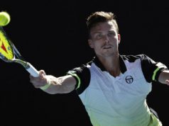 Davis Kupa – Fucsovics Márton: még nem gondolok Goffinre