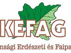 Lassulj „erdősebességre” velünk!