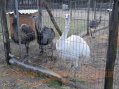 ARM Pillanatok Bogdán Jenővel