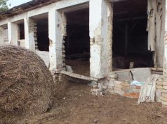 LEZÁRT AKTA: ÁLLATKÍNZÁSÉRT FELELHET A GAZDA