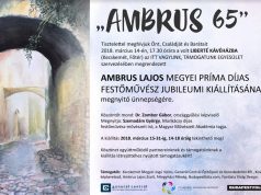 „AMBRUS 65”