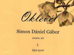 Nemzetközi Magyar Matematikaversenyen