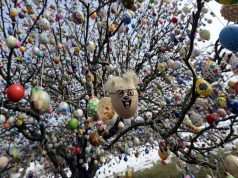 Feldíszítésre vár a 650 éves Kecskemét Tojásfája