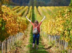 Turisztikai Ügynökség: februárban újabb rekordot ért el a turizmus