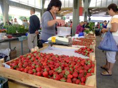 Még a szamóca uralja a piacot
