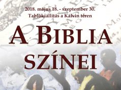 Szabadtéri tablókiállítás nyílik a kecskeméti Ráday Múzeumban