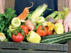 Teljes lendületben Közép-Európa öt országában a Slow Food-CE projekt