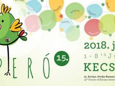 Jubileumi Fesztivál és megemlékezés