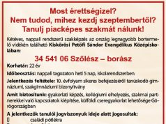 Most érettségiztél? Nem tudod, mihez kezdj szeptembertől? Tanulj piacképes szakmát!
