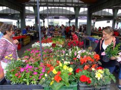 Ezernyi szín a piacon