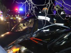 BÁCS-KISKUN MEGYEI BALESETI ÖSSZESÍTŐ