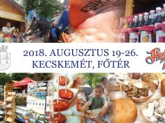 Fedezze fel, ismerje meg megyénket!