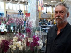 „Ami a hobbim – egyben a szakmám is”