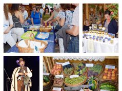 Az idén is gazdag programkínálattal készülnek a térségi települések a Hírös Hét Fesztiválra