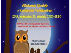 Már csak két nap az Állatkertek éjszakájáig