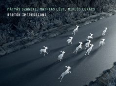 Szandai Mátyás – Mathias Lévy – Lukács Miklós: Bartók Impressions