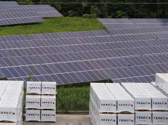 Napelemes erőművet épített a Terrán a bólyi üzemének ellátására