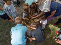 Két napon át minden a libáról szól majd Kiskunfélegyházán