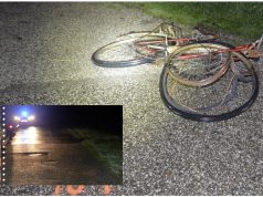 HÍREK BÁCS-KISKUN MEGYÉBŐL