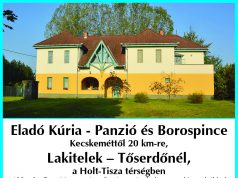 Eladó Kúria – Panzió és Borospince