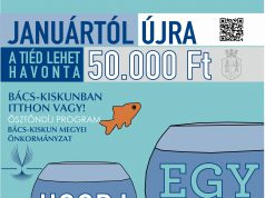 Új félév, új lehetőségek
