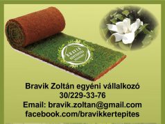 Keresse bátran Bravik Zoltánt kertészet kapcsán