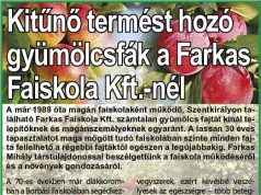 Kitűnő termést hozó gyümölcsfák a Farkas Faiskola Kft.-nél!