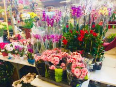 Anyák napja és a közelgő ballagások alkalmából még színesebb kínálattal várja vásárlóit a Kecskeméti Piac