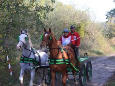 Június első hétvégéjén távlovasok veszik birtokba a solti Révbérpusztát.
