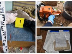 LÁNCFŰRÉSZES SZOMSZÉD