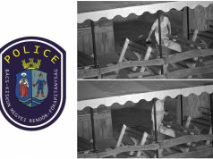 ÖT PERC ALATT ELFOGTÁK