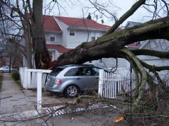 NEGYVENMILLIÓ FORINT FÖLÖTT JÁR A VIHAR OKOZTA LAKÁSKÁROK MÉRTÉKE