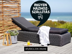 Ingyenes házhoz-szállítás