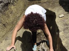 Avar kori fülkesírokat találtak Szegeden