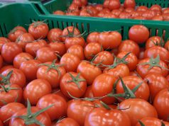 Augusztus 20-án a belvárosi piaccsarnok nyitva tart!