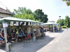 Falunap Kunpeszéren