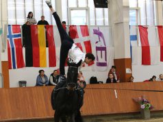 A magyar lovastornászok Hollandiában is letették névjegyüket