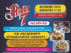 Programok a Nők a Nemzet Jövőjéért Egyesület szervezésében a Hírös7 Fesztiválon