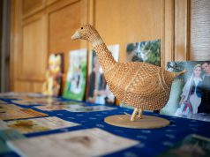 Megyenapokkal bővítik a szervezők a Kiskunfélegyházi Libafesztivál programjait