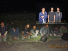 ILLEGÁLIS MIGRÁNSOK BÁCS-KISKUN MEGYÉBEN