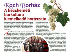 Négy éves a Koch Borház