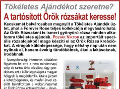 Tökéletes ajándék!