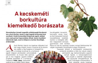 A kecskeméti borkultúra kiemelkedő borászata