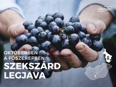 Az október hónap kiemelt borvidéke: Szekszárd