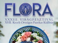December 6-8. között 33. alkalommal FLORA Virágfesztivál, 17. alkalommal Országos Fazekas Kiállítás Kecelen