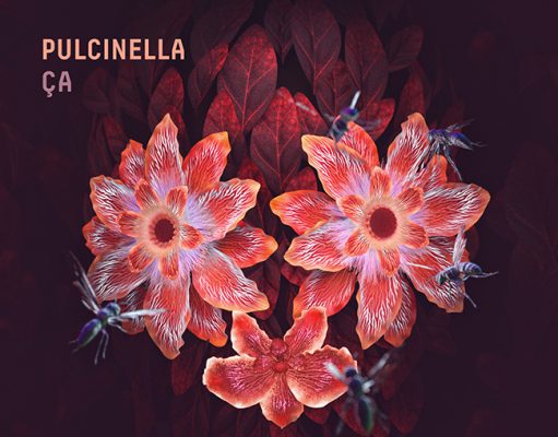 Pulcinella: Ça
