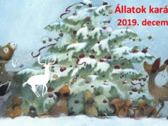 Állatok karácsonya a Kecskeméti Vadaskertben