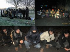 171 ILLEGÁLIS MIGRÁNS
