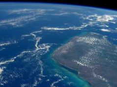 Az emberiség eredete