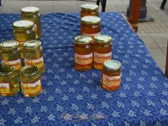 A Városháza előtti Tanyai Termék Piac is bezár